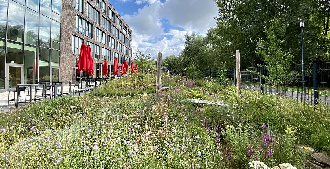 ein Gewerbegebäude im Vordegrund ein Grünstreifen und Sitzmöglichkeiten