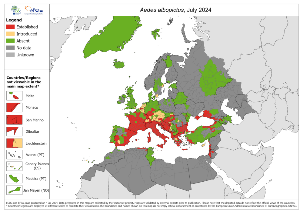 Die Karte zeigt die Verbreitung der Asiatischen Tigermücke in Europa, Stand Juli 2024. 