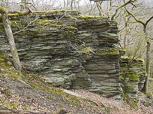 Hunsrückschiefer Hunsrückschiefer