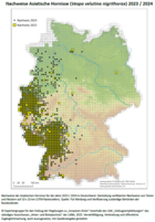 Verbreitungskarte Vespa velutina 2023/2024