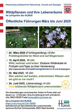 Programm für Führungen im Lehrgarten März bis Juni 2025