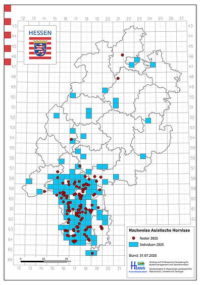 Verbreitungskarte Asiatische Hornisse 2025 Verbreitungskarte Asiatische Hornisse 2025