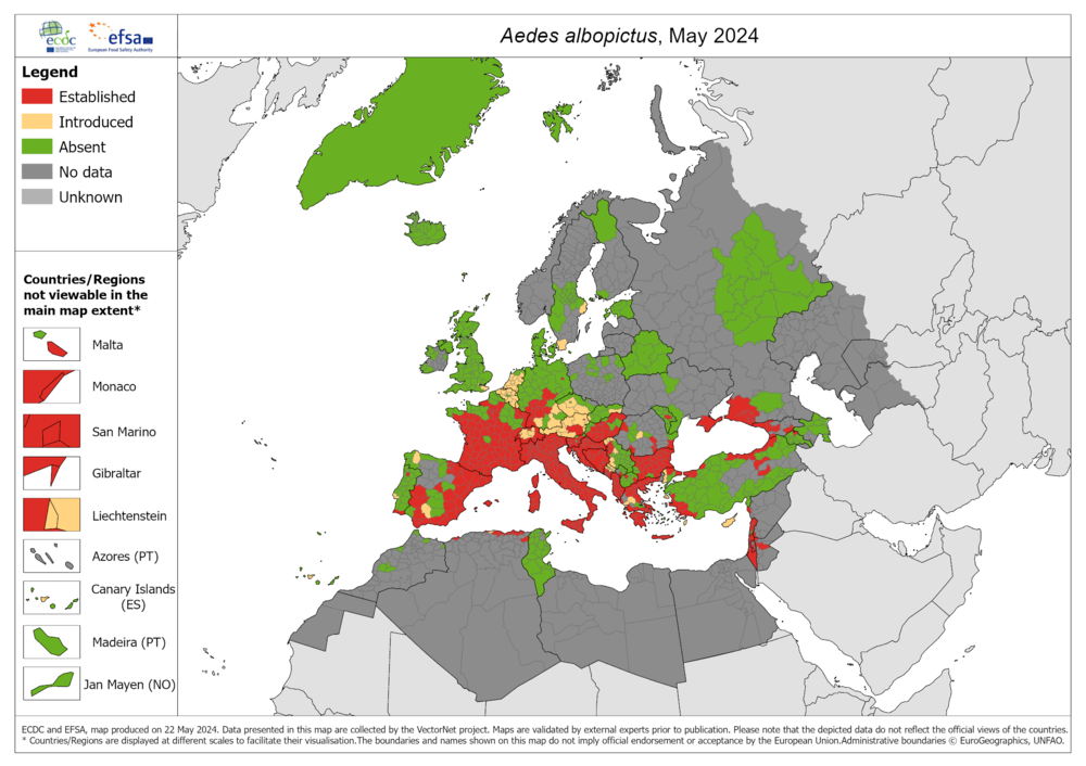 Die Karte zeigt die Verbreitung der Asiatischen Tigermücke in Europa, Stand Mai 2024. 