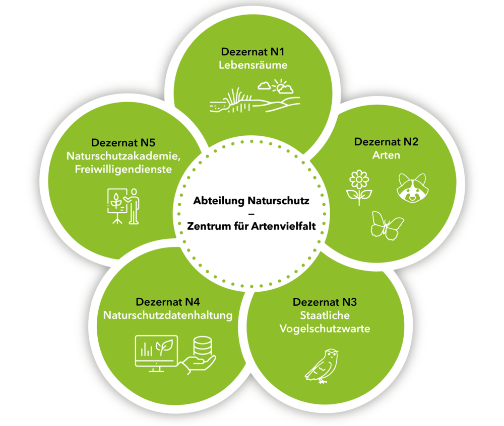 Derzeit sind die Tätigkeitsbereiche des ZfA auf fünf Dezernate verteilt:   N1: Lebensräume N2: Arten N3: Staatliche Vogelschutzwarte N4: Naturschutzdatenhaltung  N5: Naturschutzakademie 