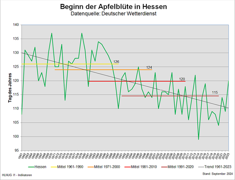 Beginn der Apfelblüte in Hessen