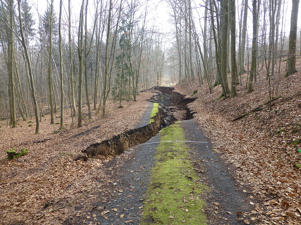 Bild einer Rutschung im Wald