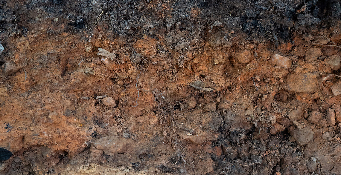 Kohlenmeilerboden aus dem Taunus