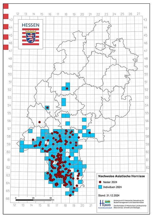 AsiatischeHornisse_2024_Stand-20241231_Kl.jpg