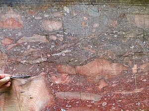 Devonischer Riffkalkstein („Lahnmarmor“) bei Villmar Devonischer Riffkalkstein („Lahnmarmor“) bei Villmar