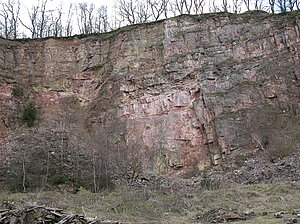 Taunusquarzit Steinbruchswand Zimmersköpfe im Taunus Taunusquarzit Steinbruchswand Zimmersköpfe im Taunus