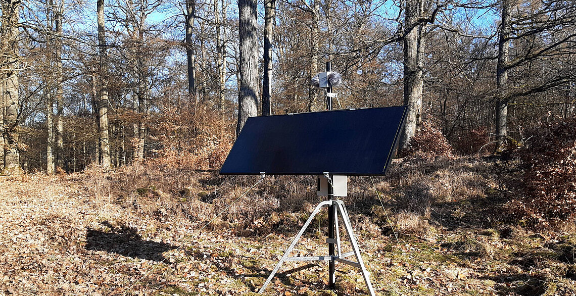 Wald mit einem Audio-Erfassungssystem. Zu sehen ist eine Solarzelle, die auf 3 Beinen steht.