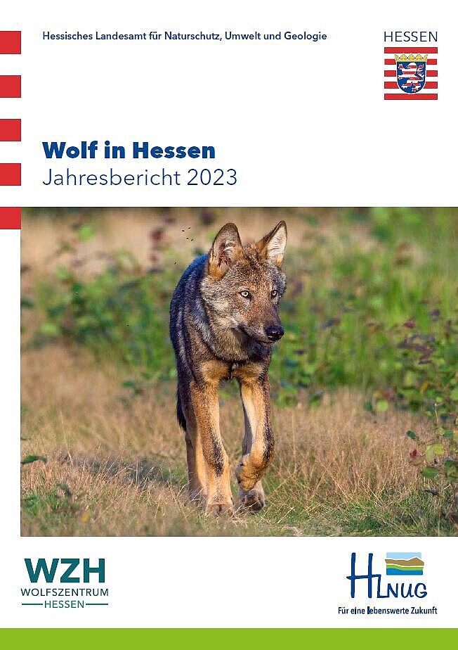 Titelbild der Publikation Wolf in Hessen - Jahresbericht 2023