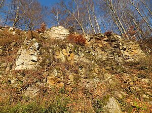 Tertiärer Spessart-Andesit im Aufschluss südöstlich von Alsberg Tertiärer Spessart-Andesit im Aufschluss südöstlich von Alsberg
