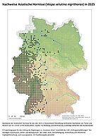 Verbreitungskarte Vv 2025 Verbreitungskarte Vespa velutina 2025