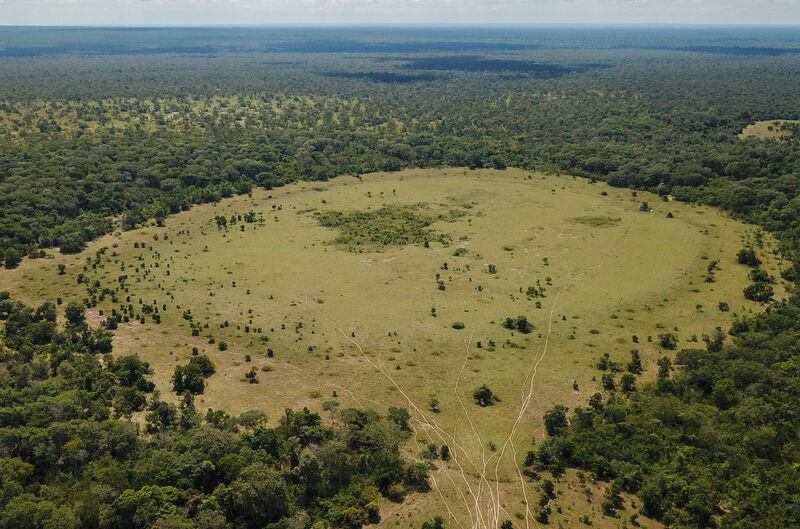  Das Bild zeigt eine Luftaufnahme einer großen, kreisförmigen Fläche inmitten eines dichten Waldgebiets. Dieser sogenannte "Feenkreis" ist eine kreisförmige, kahle Region, die von Vegetation umgeben ist. Innerhalb des Kreises wächst kaum Vegetation, während außerhalb des Kreises dichte Pflanzen und Bäume stehen. Der Feenkreis hebt sich klar von der umliegenden Landschaft ab, was ihn deutlich sichtbar macht. Diese Kreise sind in manchen Teilen der Welt bekannt und gelten als mysteriöse Naturphänomene. Eine mögliche Erklärung für solche Feenkreise ist der Austritt von natürlichem Wasserstoff aus dem Untergrund. Wissenschaftler vermuten, dass der Wasserstoff, der an diesen Stellen an die Oberfläche dringt, das Pflanzenwachstum hemmen könnte, wodurch die kreisförmigen, vegetationslosen Zonen entstehen.