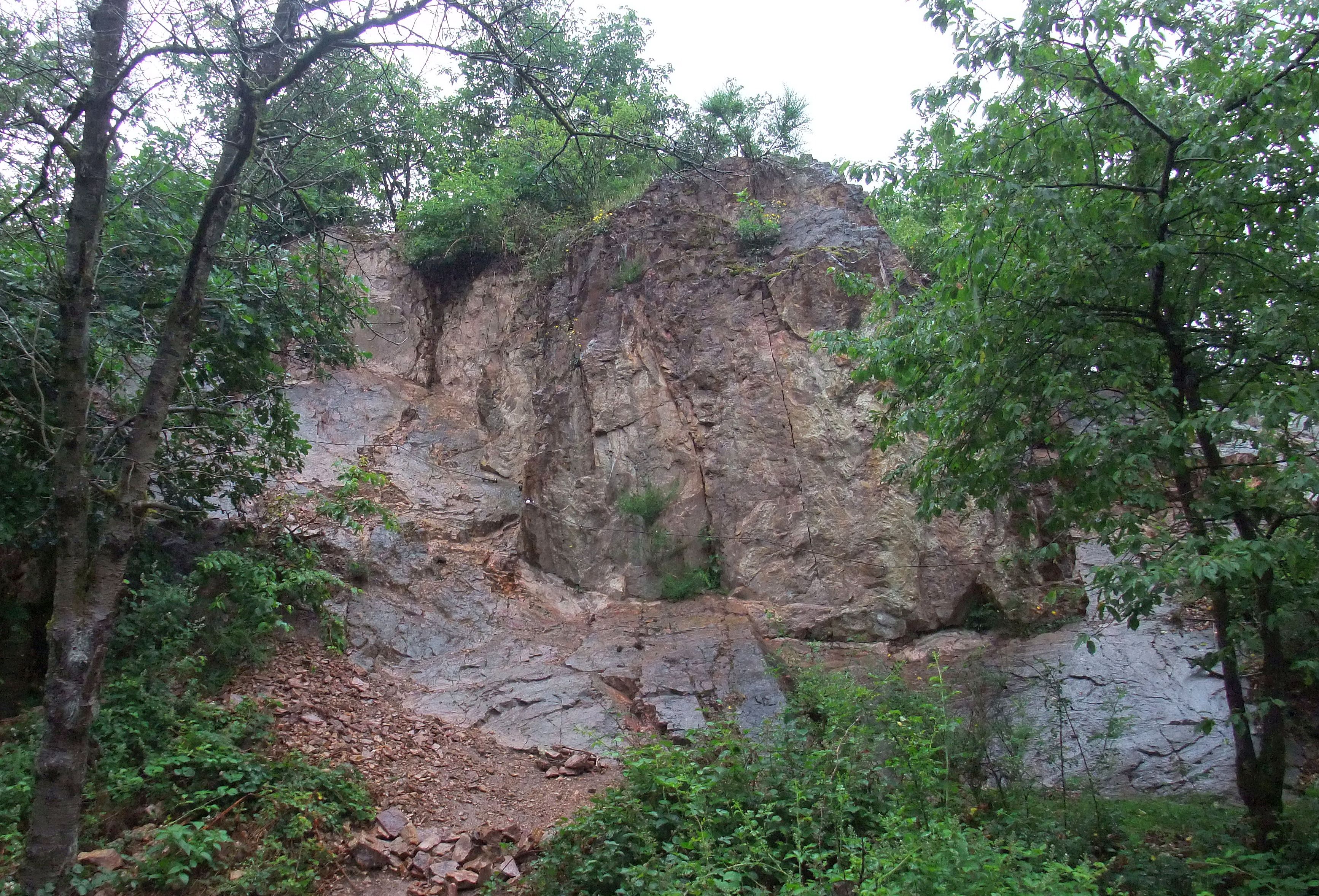 Rhyolith der Schöneck-Formation (Rotliegend) im ehemaligen Steinbruch Knoßberg (Böllsteiner Odenwald) Rhyolith der Schöneck-Formation (Rotliegend) im ehemaligen Steinbruch Knoßberg (Böllsteiner Odenwald)